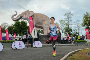 BIB: 
                            <button type="button" onclick="openModal(26528769)" class="btn btn-primary btn-sm float-right btn-popup" data-toggle="modal" data-target=".modal-high-quality">
                        <i class="fas fa-shopping-cart"></i> Add to Cart
                    </button>
                                            <button type="button" onclick="isThisMe(26528769, true)" class="btn btn-success btn-sm float-right btn-popup btn-isme hidden" data-toggle="tooltip" data-placement="bottom" title="นี่คือรูปของคุณใช่ไหม คลิกที่นี่เพื่อเอาเข้าอัลบั้ม">
                        <i class="fas fa-plus"></i> Add to album
                    </button>
                    <button type="button" onclick="isThisMe(26528769, false)" class="btn btn-warning btn-sm float-right btn-popup btn-isnotme hidden">
                        <i class="fas fa-ban"></i> Remove from album
                    </button>